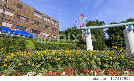 港の見える丘公園の夏 127815905