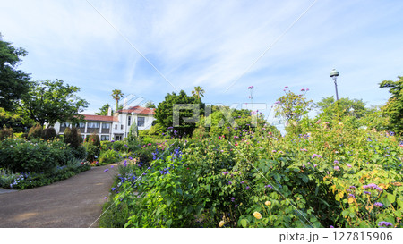 港の見える丘公園の夏 127815906