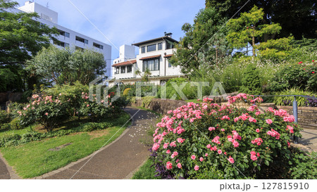 港の見える丘公園の夏 港の見える丘公園の夏 127815910