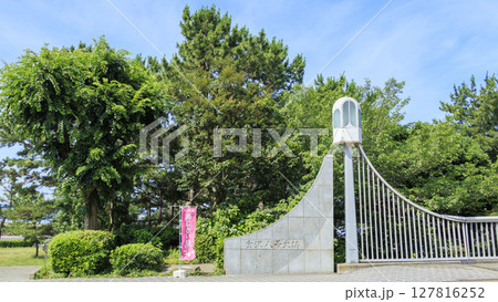 八景島の紫陽花 八景島の紫陽花 127816252