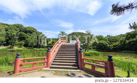 稱名寺の夏 127816414