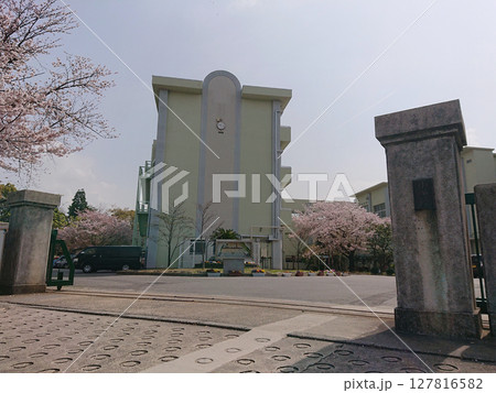 Cherry blossom and school gate / 満開の桜と学校の校門 Cherry blossom and school gate / 満開の桜と学校の校門 127816582