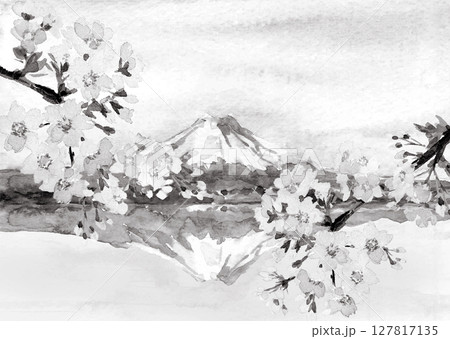 水彩で描いた桜咲く、春の湖に映る鏡富士のモノトーンイラスト【手描き】コピースペース 127817135