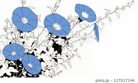 アサガオの花（シンプルな色使い）
