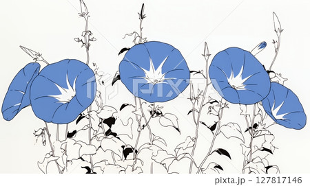 アサガオの花（シンプルな色使い）