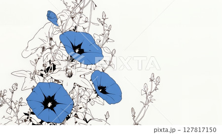 アサガオの花（シンプルな色使い）
