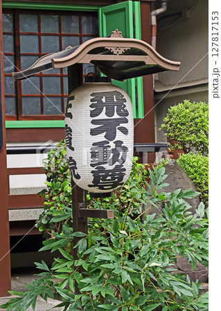 飛不動(台東) 飛不動(台東) 127817153