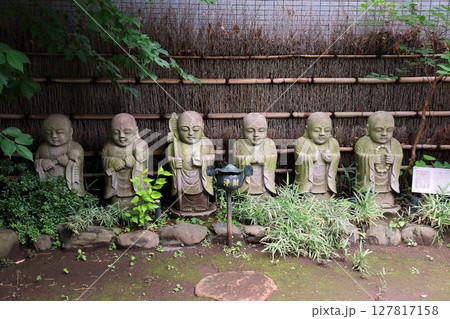 飛不動(台東) 飛不動(台東) 127817158