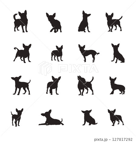 Chihuahua dog silhouettes, Chihuahua dog silhouette set Chihuahua dog silhouettes, Chihuahua dog silhouette set 127817292