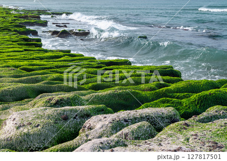 Spring Coastline with Green Algae Rocks at Laomei Green Reef in Taiwan. 127817501