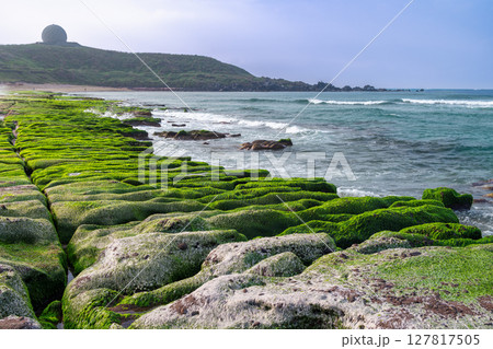 Verdant Coastal Rocks at Laomei Green Reef in Spring, Shimen Taiwan. Verdant Coastal Rocks at Laomei Green Reef in Spring, Shimen Taiwan. 127817505