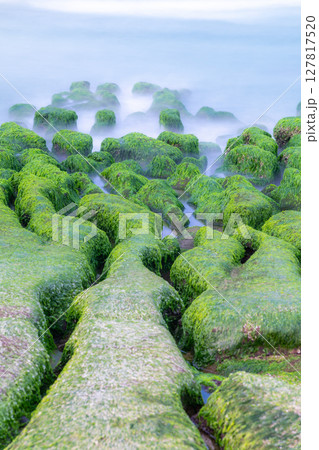 Vibrant Spring Algae Reef at Laomei Green Reef in Shimen, Taiwan. 127817520