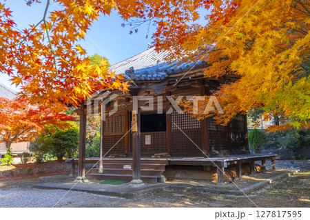 秋の京都山科　安祥寺　大師堂 127817595