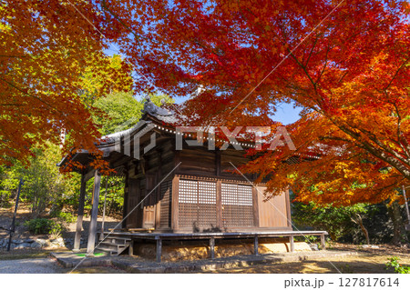 秋の京都山科　安祥寺　地蔵堂 127817614