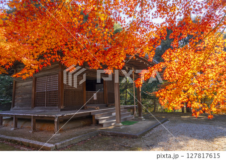 秋の京都山科　安祥寺　大師堂 127817615