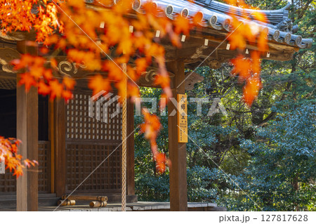 秋の京都山科 安祥寺 大師堂 秋の京都山科 安祥寺 大師堂 127817628