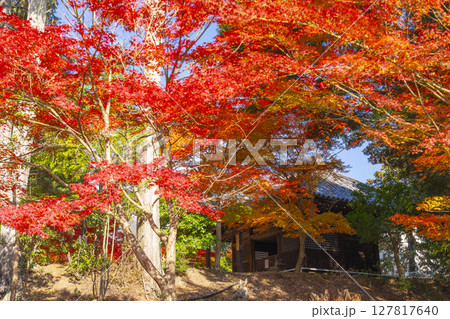 秋の京都山科 安祥寺 大師堂 秋の京都山科 安祥寺 大師堂 127817640