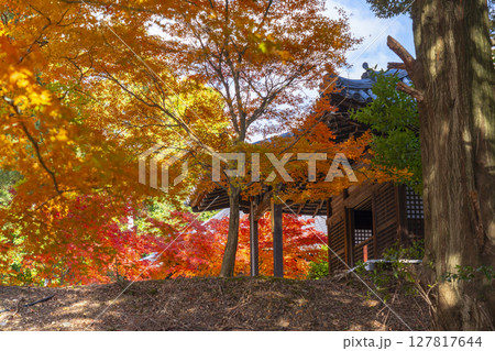 秋の京都山科 安祥寺 大師堂 秋の京都山科 安祥寺 大師堂 127817644