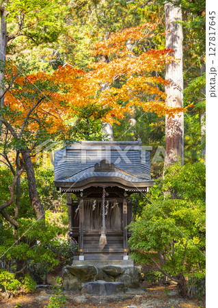 秋の京都山科 安祥寺 弁天社 秋の京都山科 安祥寺 弁天社 127817645