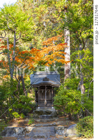 秋の京都山科 安祥寺 弁天社 秋の京都山科 安祥寺 弁天社 127817646