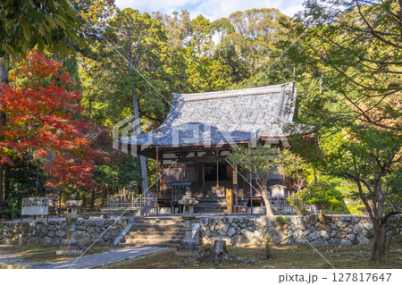 秋の京都山科　安祥寺　本堂（観音堂） 127817647