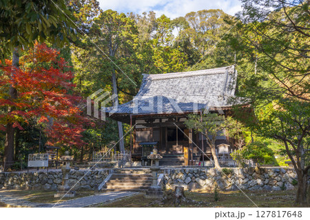 秋の京都山科　安祥寺　本堂（観音堂） 127817648