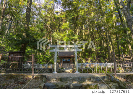 秋の京都山科　安祥寺　青龍殿と蘚苔蟠龍 127817651