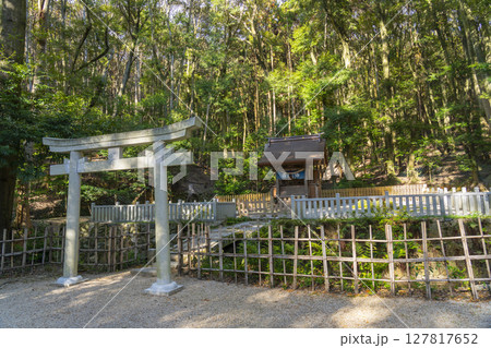 秋の京都山科　安祥寺　青龍殿と蘚苔蟠龍 127817652