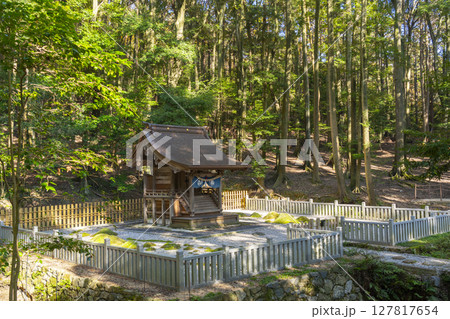 秋の京都山科 安祥寺 青龍殿と蘚苔蟠龍 秋の京都山科 安祥寺 青龍殿と蘚苔蟠龍 127817654