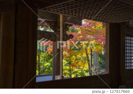 秋の京都山科 安祥寺 本堂からの眺め 秋の京都山科 安祥寺 本堂からの眺め 127817660