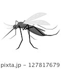 蚊　夏　害虫　虫よけ　昆虫　デング熱 127817679