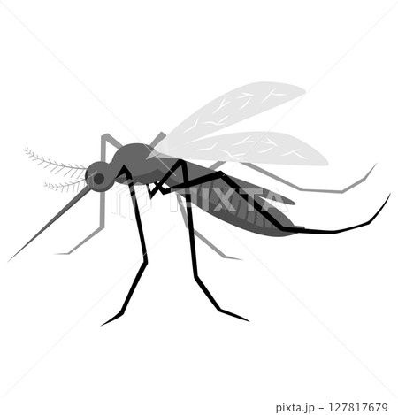 蚊　夏　害虫　虫よけ　昆虫　デング熱 127817679