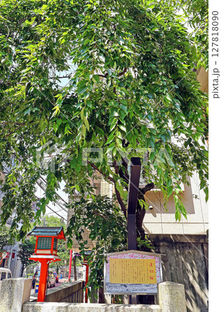 吉原神社（台東） 127818090