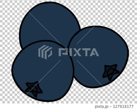 簡單的藍莓插畫素材 簡單的藍莓插畫素材 127818177