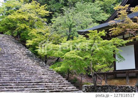 京都高雄にある神護寺の凛とした情景 五大堂 127818517