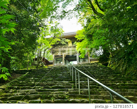 京都高雄にある神護寺の凛とした情景 神護寺楼門 京都高雄にある神護寺の凛とした情景 神護寺楼門 127818571