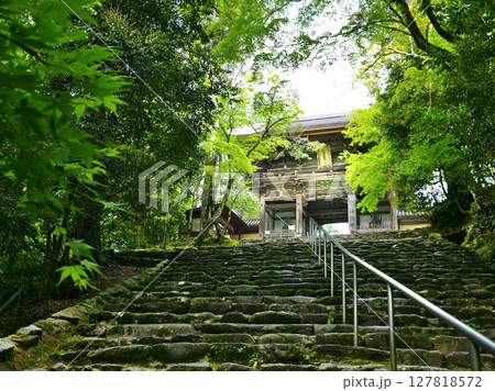 京都高雄にある神護寺の凛とした情景 神護寺楼門　 127818572