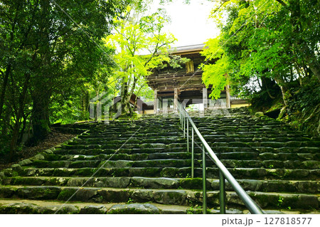京都高雄にある神護寺の凛とした情景 神護寺楼門　 127818577