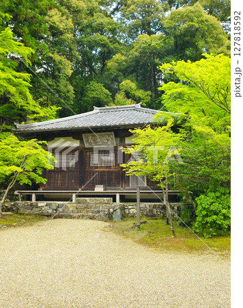 京都高雄にある神護寺の凛とした情景 明王堂 京都高雄にある神護寺の凛とした情景 明王堂 127818592