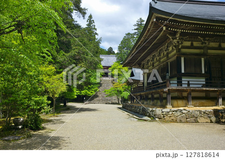京都高雄にある神護寺の凛とした情景 京都高雄にある神護寺の凛とした情景 127818614