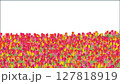チューリップー1 127818919