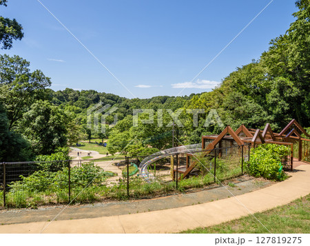 千葉県松戸市 21世紀の森と広場「木もれ陽の森」から「あそびのすみか」方面を望む 127819275