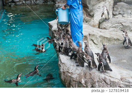 長崎ペンギン水族館 127819418