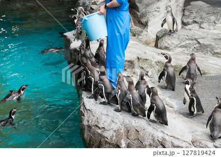 長崎ペンギン水族館 127819424