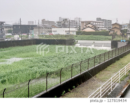 Town under heavy summer rain 夏のゲリラ豪雨で満水に向かう住宅街の遊水地 Town under heavy summer rain 夏のゲリラ豪雨で満水に向かう住宅街の遊水地 127819434