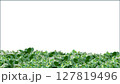緑のある生活ー1 127819496