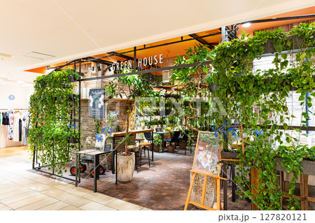 TEA HOUSE アトレ吉祥寺店(GREEN HOUSE) 東京都武蔵野市吉祥寺南町 TEA HOUSE アトレ吉祥寺店(GREEN HOUSE) 東京都武蔵野市吉祥寺南町 127820121