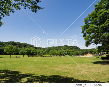 千葉県松戸市 21世紀の森と広場にある「光と風の広場」 千葉県松戸市 21世紀の森と広場にある「光と風の広場」 127820290