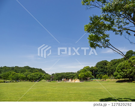 千葉県松戸市 21世紀の森と広場にある「光と風の広場」 千葉県松戸市 21世紀の森と広場にある「光と風の広場」 127820292