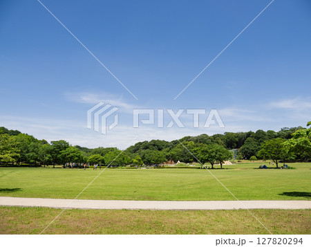 千葉県松戸市 21世紀の森と広場にある「光と風の広場」 127820294